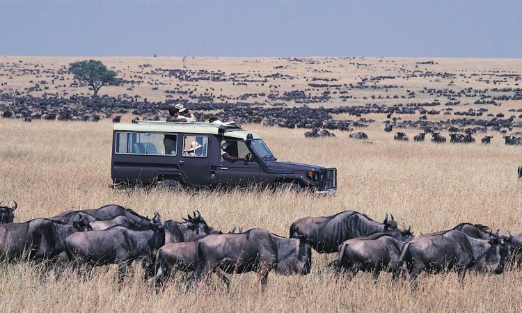 8 Days Gorilla Trekking and Masai Mara safari Holiday