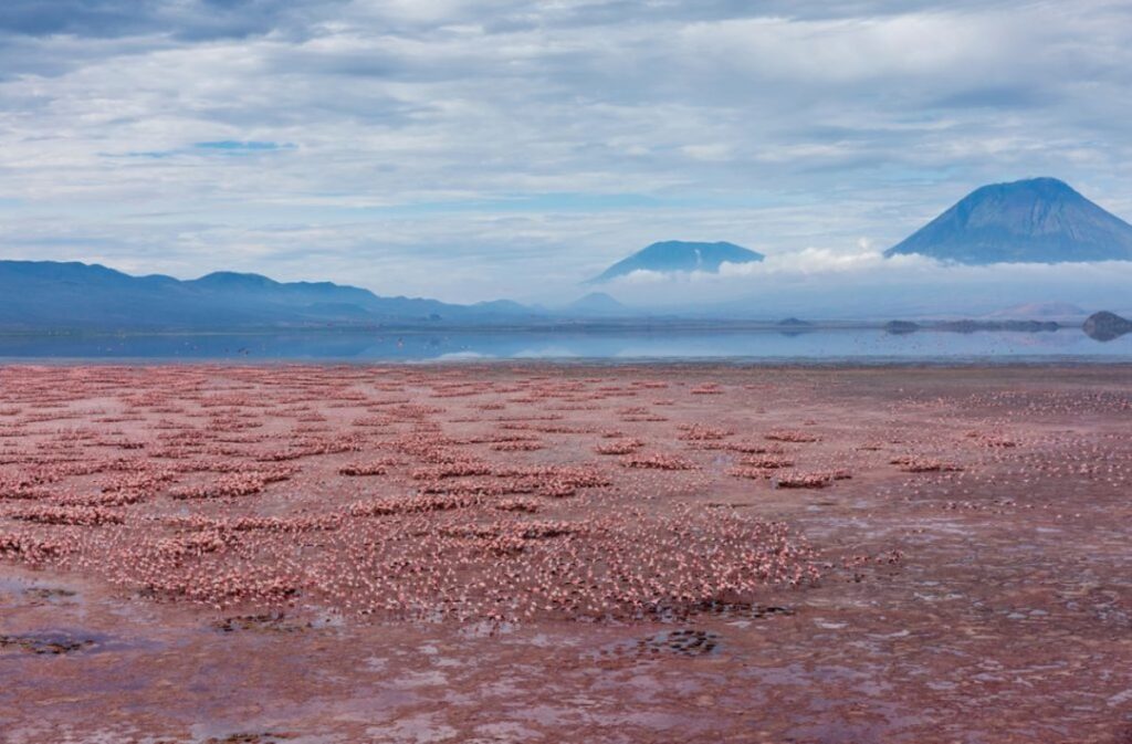 Lake Natron: Tanzania’s Natural Deadly Wonder That Loved Flamingos