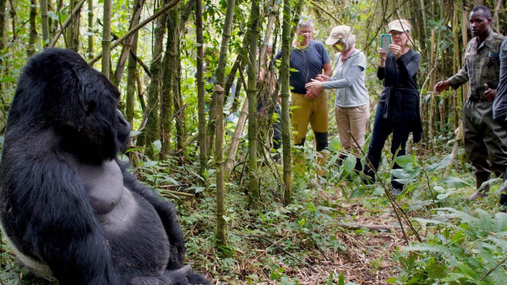 7 Days Gorilla Trekking Tour in Uganda and Rwanda